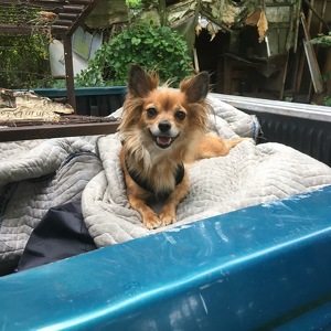 Fundraising Page: Amanda Nixdorf